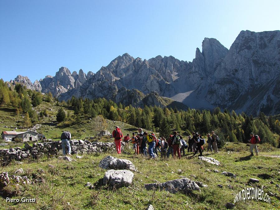 30 Da sfondo il Cimon della bagozza.jpg